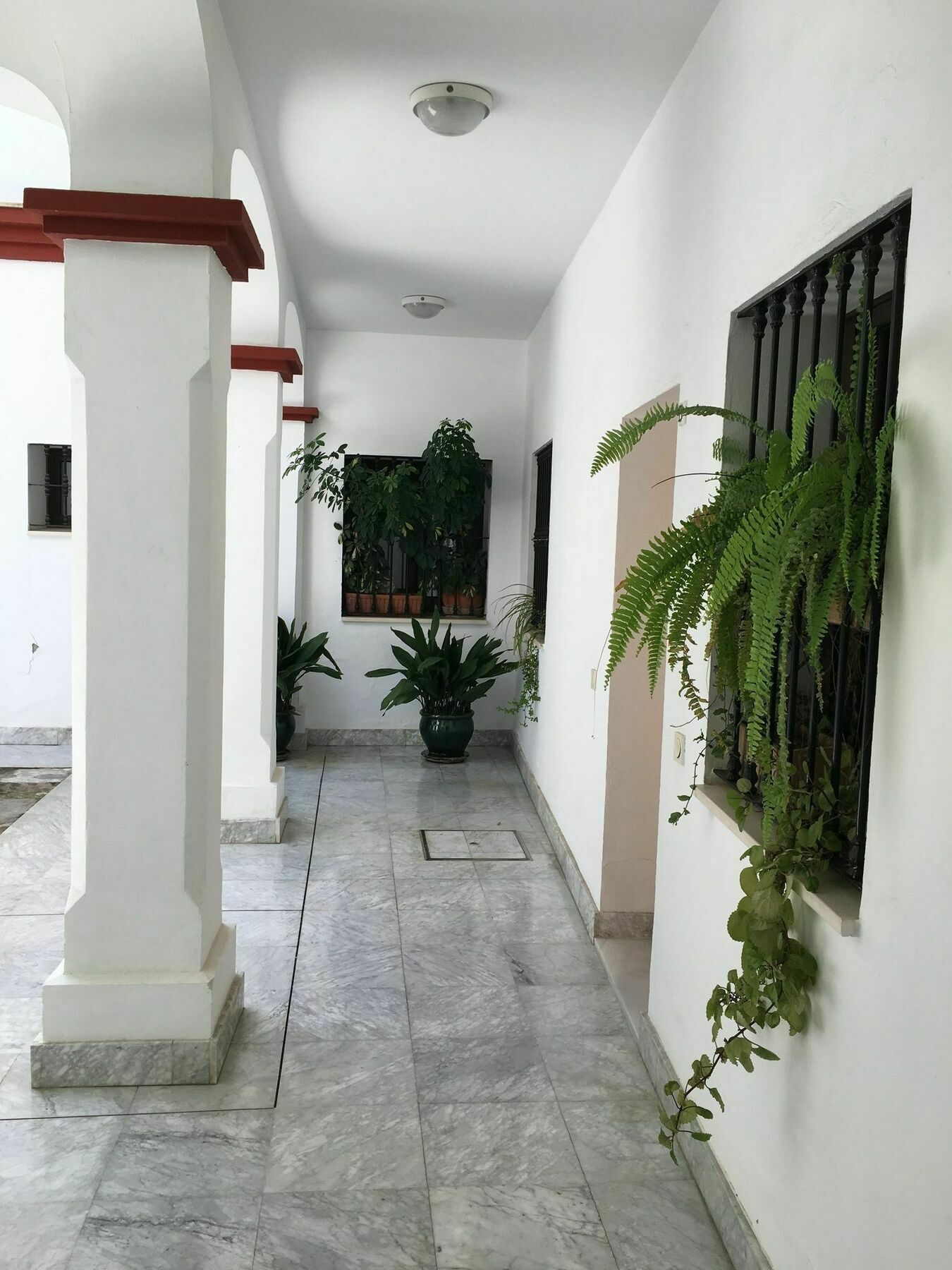 Teodosio Apartment Free Parking & Central Ac Севиля Екстериор снимка